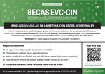 Convocatoria para Estudiantes Avanzados de Ingeniería - EVC-CIN 2019
