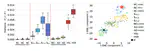 Learning normal asymmetry representations for homologous brain structures