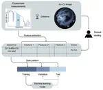 Cloud classification through machine learning and global horizontal irradiance data analysis