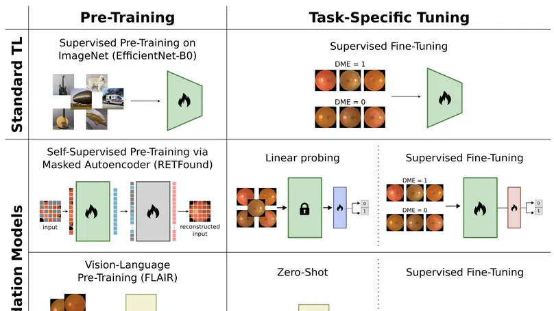 Evaluating Fundus-Specific Foundation Models for Diabetic Macular Edema Detection